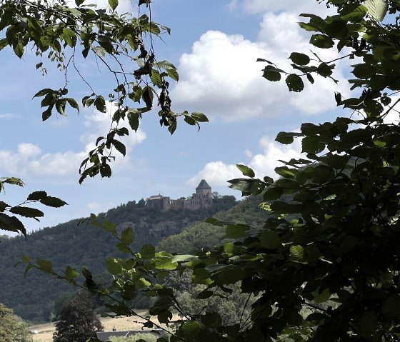 Aussicht mit Blick auf die Burg, © Rureifel-Tourismus e.V., Michelle Wiesen