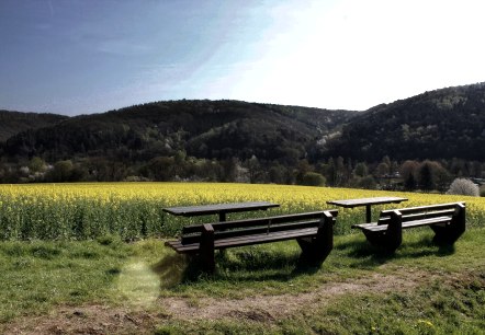 Pause mit Aussicht ins Rapsfeld