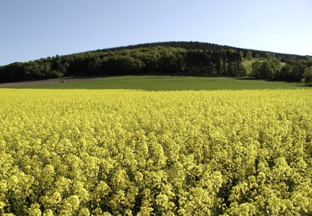 Bovenbergrunde