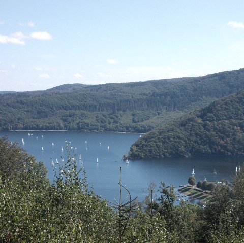 Ausblick auf den Rursee, © Eifel heimisch