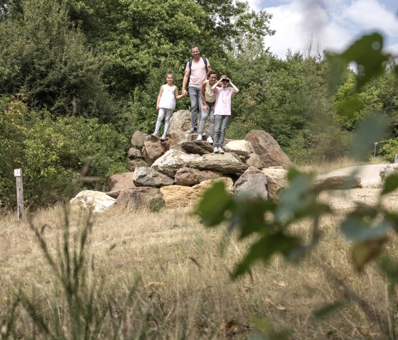 Familienausflug zum Naturerlebnispfad auf der Sophienhöhe im Rheinischen Revier, © Tobias Vollmer | Eifel Tourismus GmbH