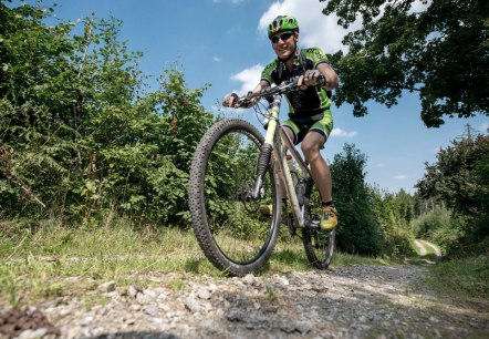 Mountainbiken auf dem MTB-Wegenetz Freifahrt Eifel