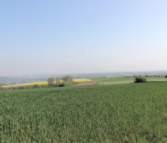 Verreikend uitzicht op de Börde, © Rureifel-Tourimus e.V.