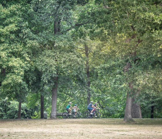 Entlang des RurUfer-Radweges durch den Stadtpark Düren, © Dennis Stratmann | Grünmetropole e.V.