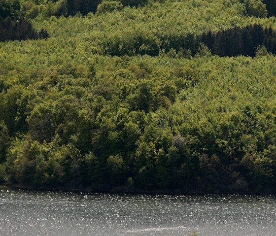 kleine Insel im See, © A. Baumbach