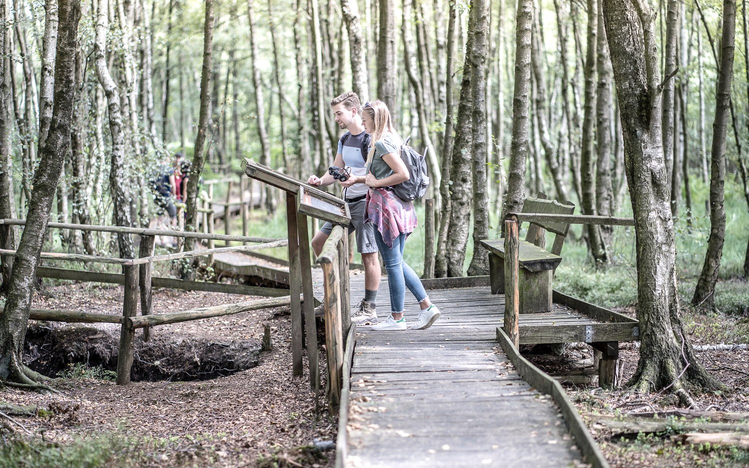 Der 4,5 Kilometer lange Bodenlehrpfad Todtenbruch in Hürtgenwald-Raffelsbrand führt auf circa 700 Metern über Holzbohlen durch ein einzigartiges Hochmoor., © Dennis Stratmann / Kreis Düren