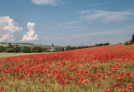 Blick auf Muldenau