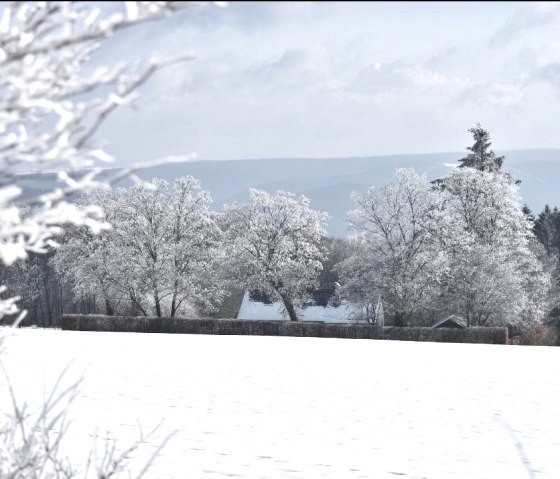 Des vues magnifiques sur le paysage enneigé