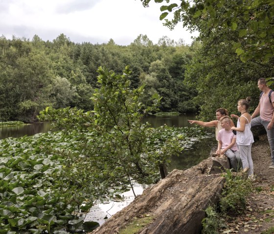 Auf der Spur der Haselmaus Sophie am Inselsee auf der Sophienhöhe im Rheinischen Revier, © Tobias Vollmer | Eifel Tourismus GmbH